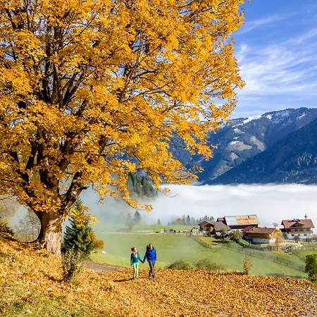 Alpine Appart Aparthotel Bad Hofgastein