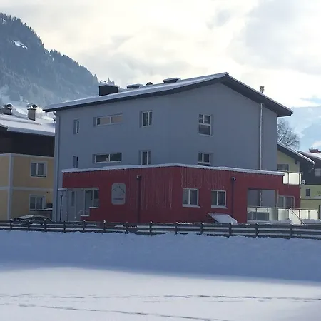 公寓式酒店 Alpine - Premium Family And Natural Swimming Pond 巴特霍夫加施泰因