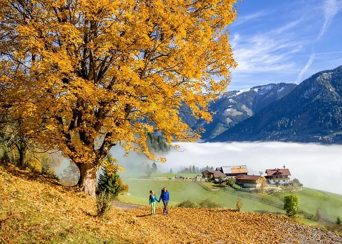 Alpine Aparthotel Bad Hofgastein